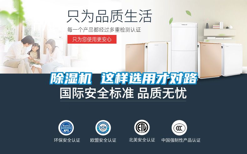 麻豆视频黄网站 这样选用才对路