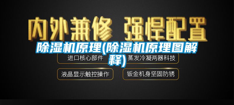 麻豆视频黄网站原理(麻豆视频黄网站原理图解释)