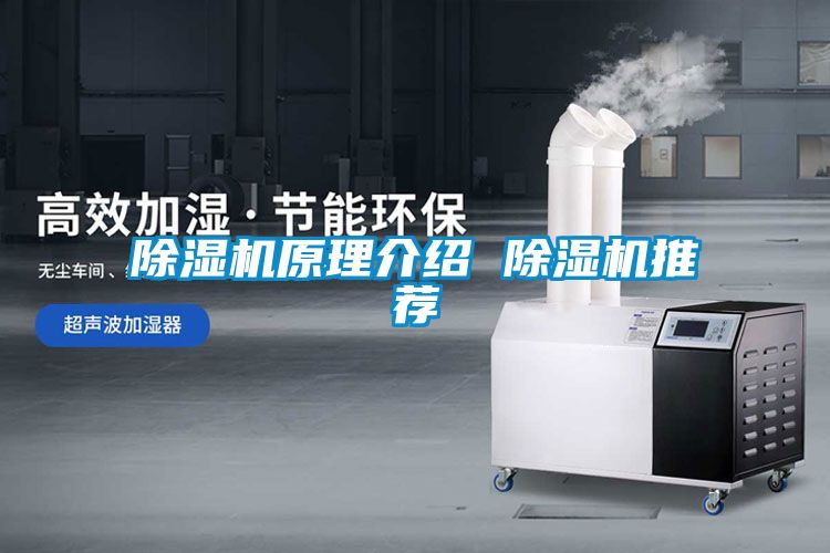 麻豆视频黄网站原理介绍 麻豆视频黄网站推荐
