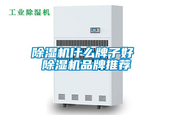 麻豆视频黄网站什么牌子好 麻豆视频黄网站品牌推荐