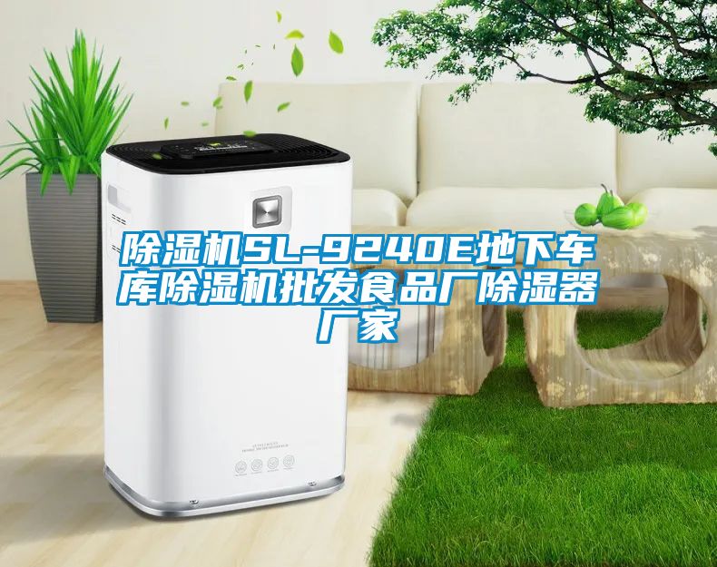 麻豆视频黄网站SL-9240E地下车库麻豆视频黄网站批发食品厂除湿器厂家