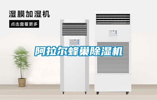 阿拉尔蜂巢麻豆视频黄网站