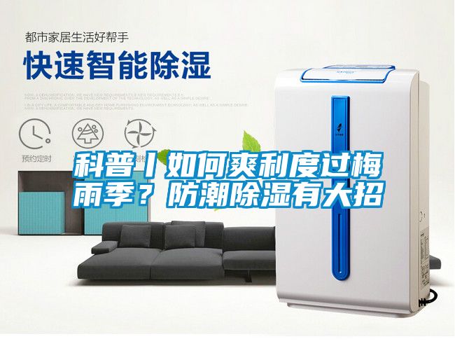 科普丨如何爽利度过梅雨季？防潮除湿有大招