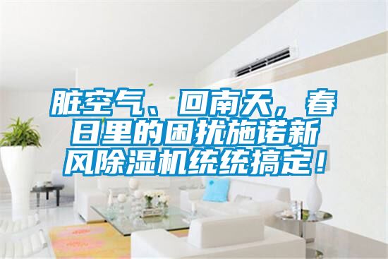 脏空气、回南天，春日里的困扰施诺新风麻豆视频黄网站统统搞定！