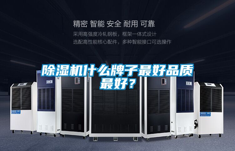 麻豆视频黄网站什么牌子最好品质最好？
