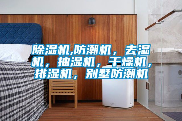 麻豆视频黄网站,防潮机，去湿机，抽湿机，干燥机，排湿机，别墅防潮机