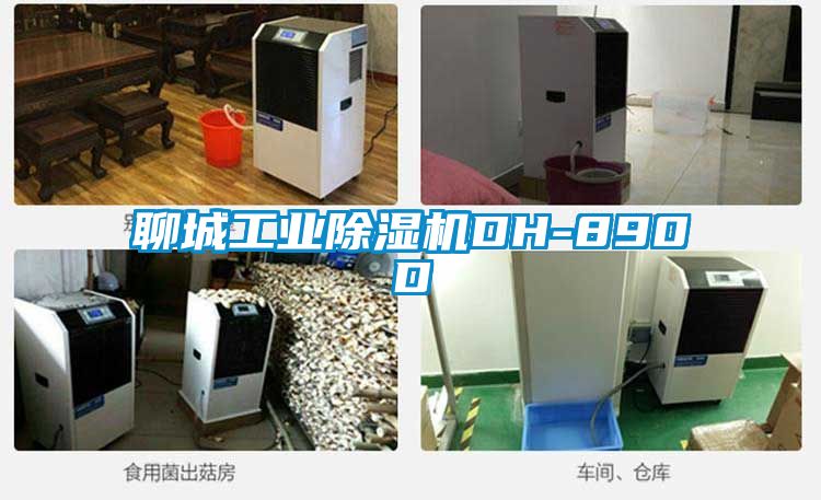聊城工业麻豆视频黄网站DH-890D