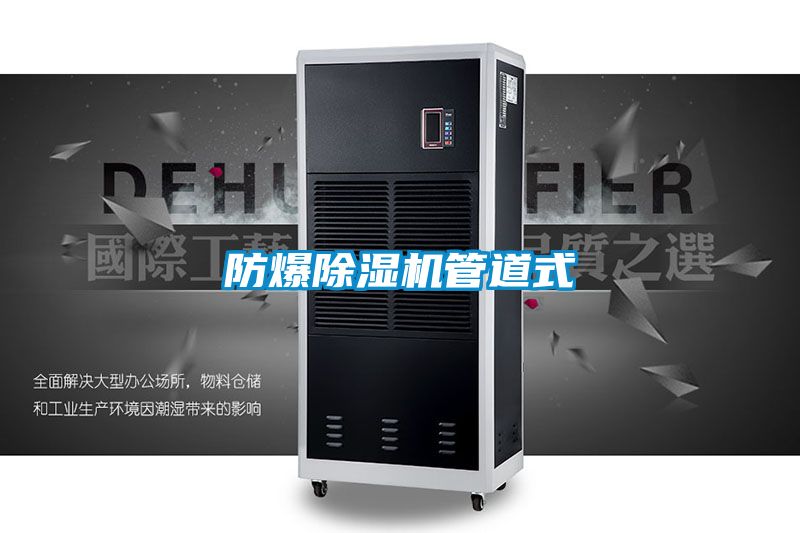 防爆麻豆视频黄网站管道式