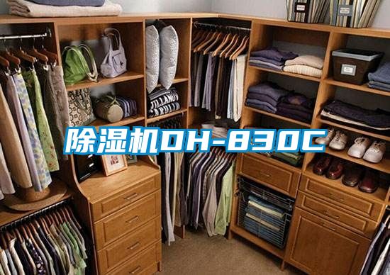麻豆视频黄网站DH-830C