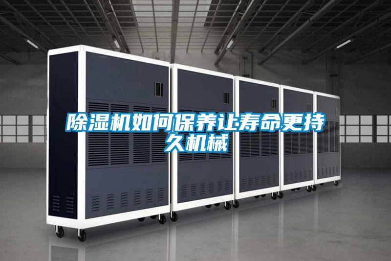 麻豆视频黄网站如何保养让寿命更持久机械