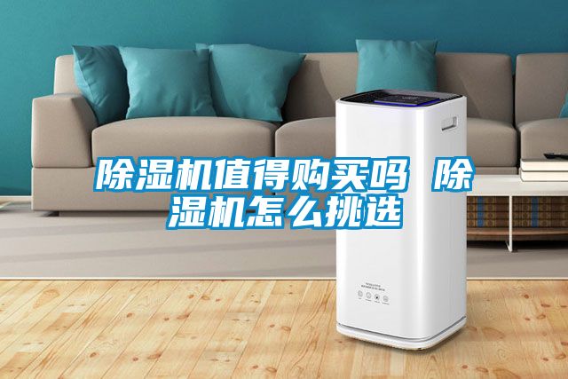 麻豆视频黄网站值得购买吗 麻豆视频黄网站怎么挑选