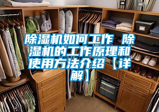 麻豆视频黄网站如何工作 麻豆视频黄网站的工作原理和使用方法介绍【详解】
