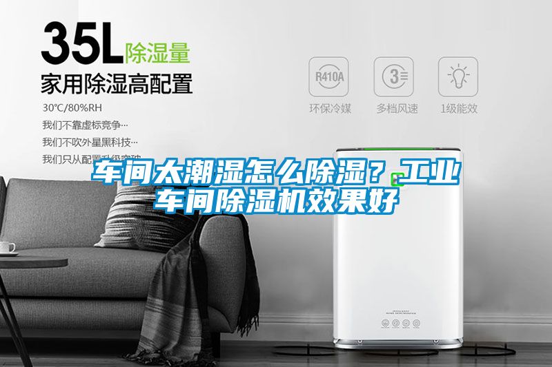 车间太潮湿怎么除湿？工业车间麻豆视频黄网站效果好