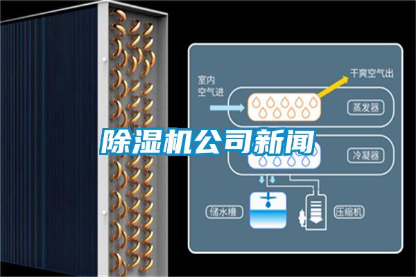 麻豆视频黄网站公司新闻