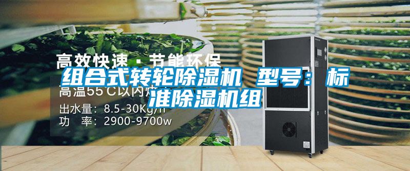 组合式转轮麻豆视频黄网站 型号：标准麻豆视频黄网站组