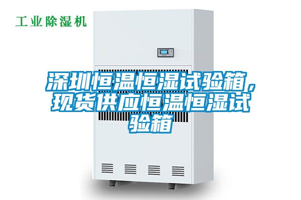 深圳恒温恒湿试验箱，现货供应恒温恒湿试验箱