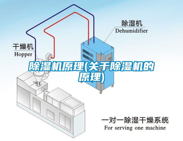 麻豆视频黄网站原理(关于麻豆视频黄网站的原理)