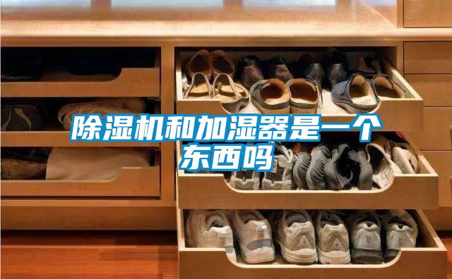 麻豆视频黄网站和加湿器是一个东西吗