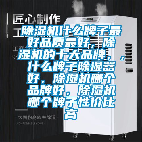 麻豆视频黄网站什么牌子最好品质最好，麻豆视频黄网站的十大品牌，，什么牌子除湿器好，麻豆视频黄网站哪个品牌好，麻豆视频黄网站哪个牌子性价比高