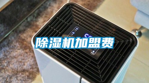 麻豆视频黄网站加盟费