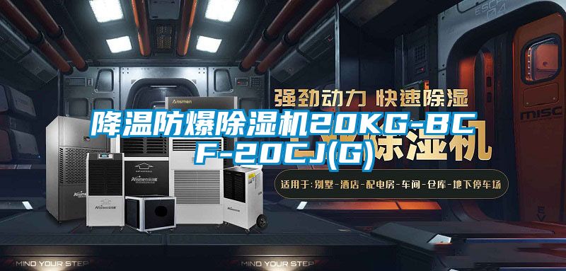 降温防爆麻豆视频黄网站20KG-BCF-20CJ(G)