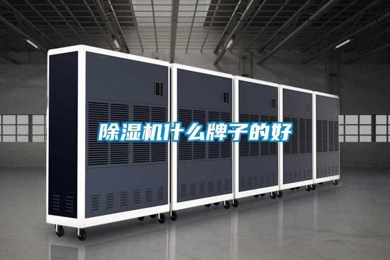 麻豆视频黄网站什么牌子的好