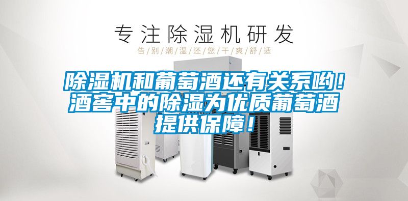麻豆视频黄网站和葡萄酒还有关系哟！酒窖中的除湿为优质葡萄酒提供保障！