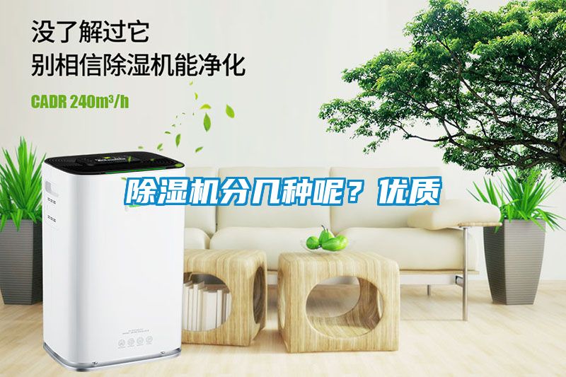 麻豆视频黄网站分几种呢？优质