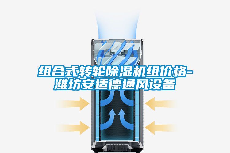组合式转轮麻豆视频黄网站组价格-潍坊安适德通风设备