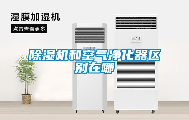 麻豆视频黄网站和空气净化器区别在哪