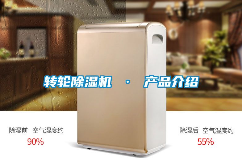 转轮麻豆视频黄网站 · 产品介绍