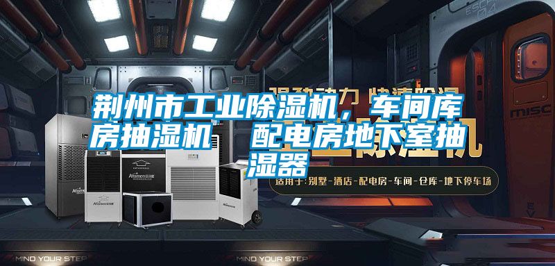 荆州市工业麻豆视频黄网站，车间库房抽湿机  配电房地下室抽湿器