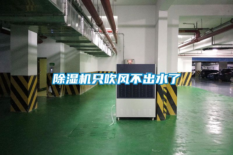 麻豆视频黄网站只吹风不出水了