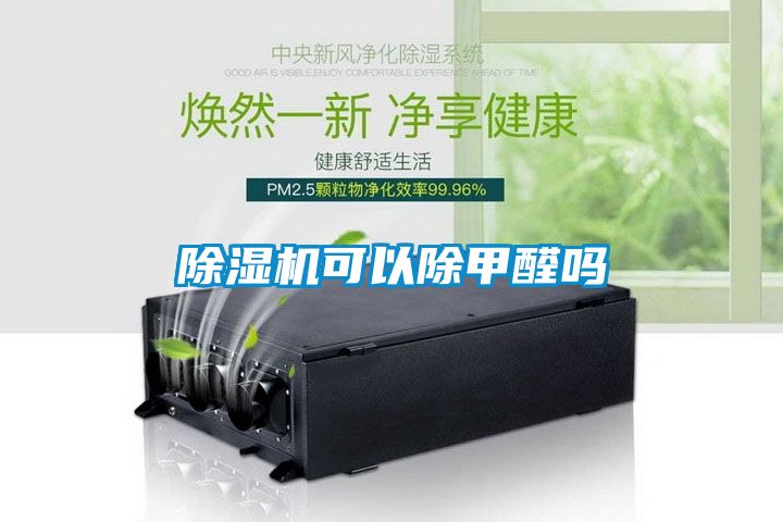 麻豆视频黄网站可以除甲醛吗