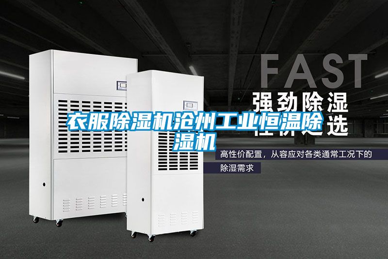 衣服麻豆视频黄网站沧州工业恒温麻豆视频黄网站