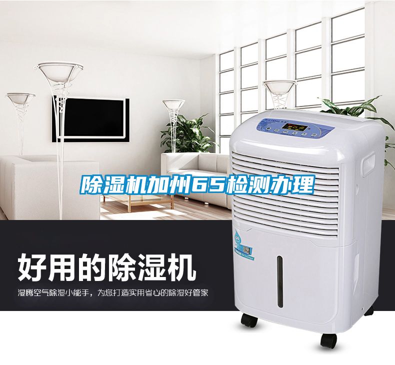 麻豆视频黄网站加州65检测办理