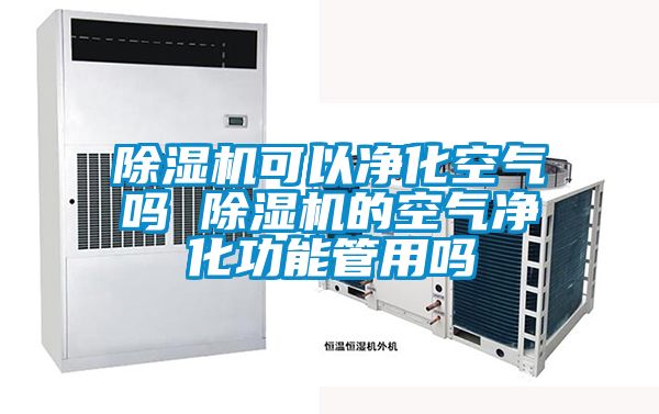 麻豆视频黄网站可以净化空气吗 麻豆视频黄网站的空气净化功能管用吗