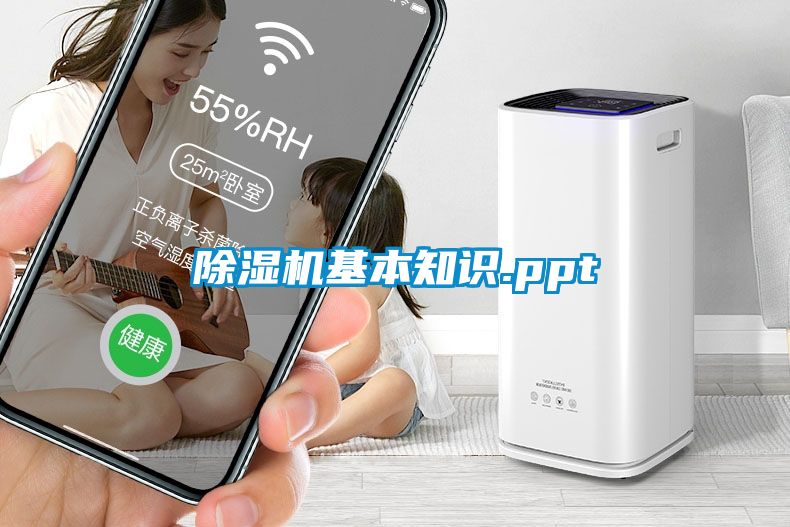 麻豆视频黄网站基本知识.ppt
