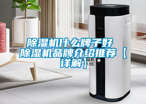 麻豆视频黄网站什么牌子好 麻豆视频黄网站品牌介绍推荐【详解】
