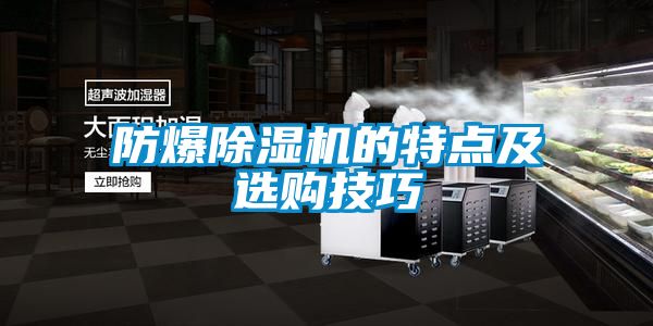 防爆麻豆视频黄网站的特点及选购技巧