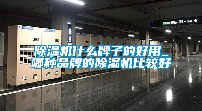 麻豆视频黄网站什么牌子的好用_哪种品牌的麻豆视频黄网站比较好