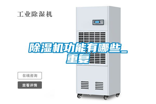 麻豆视频黄网站功能有哪些_重复