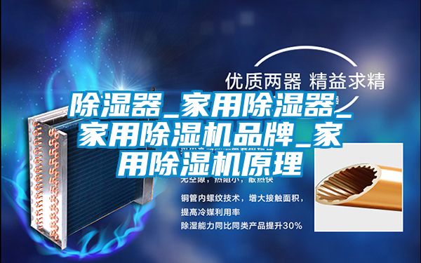 除湿器_家用除湿器_家用麻豆视频黄网站品牌_家用麻豆视频黄网站原理