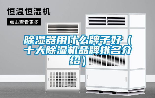 除湿器用什么牌子好（十大麻豆视频黄网站品牌排名介绍）