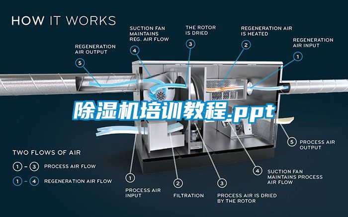 麻豆视频黄网站培训教程.ppt
