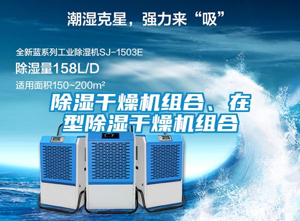 除湿干燥机组合、在型除湿干燥机组合
