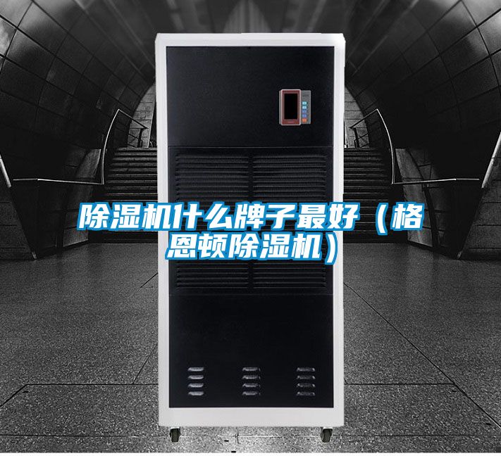 麻豆视频黄网站什么牌子最好（格恩顿麻豆视频黄网站）