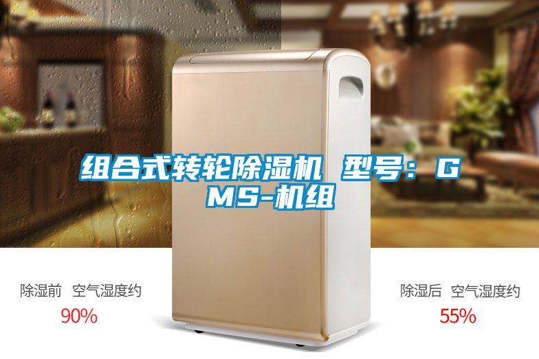 组合式转轮麻豆视频黄网站 型号：GMS-机组