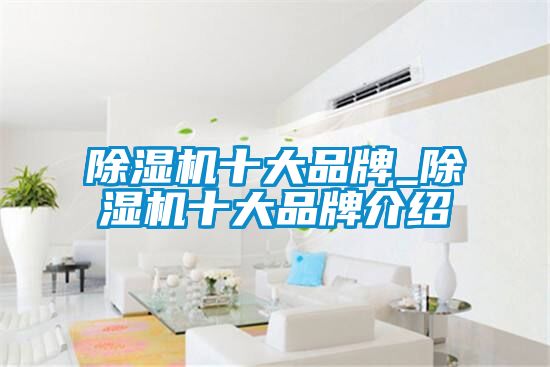 麻豆视频黄网站十大品牌_麻豆视频黄网站十大品牌介绍