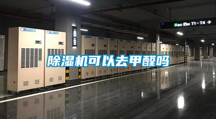 麻豆视频黄网站可以去甲醛吗